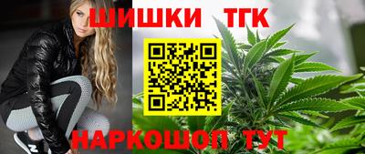 дживик Моздок