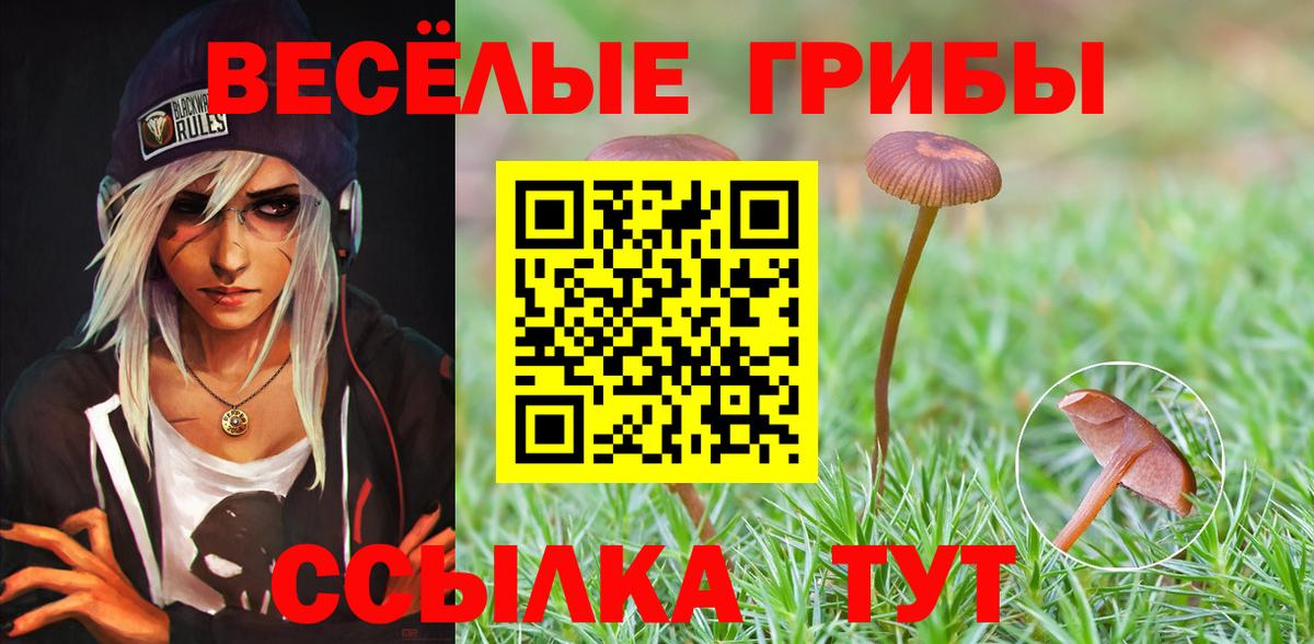 Галлюциногенные грибы MAGIC MUSHROOMS Вологда